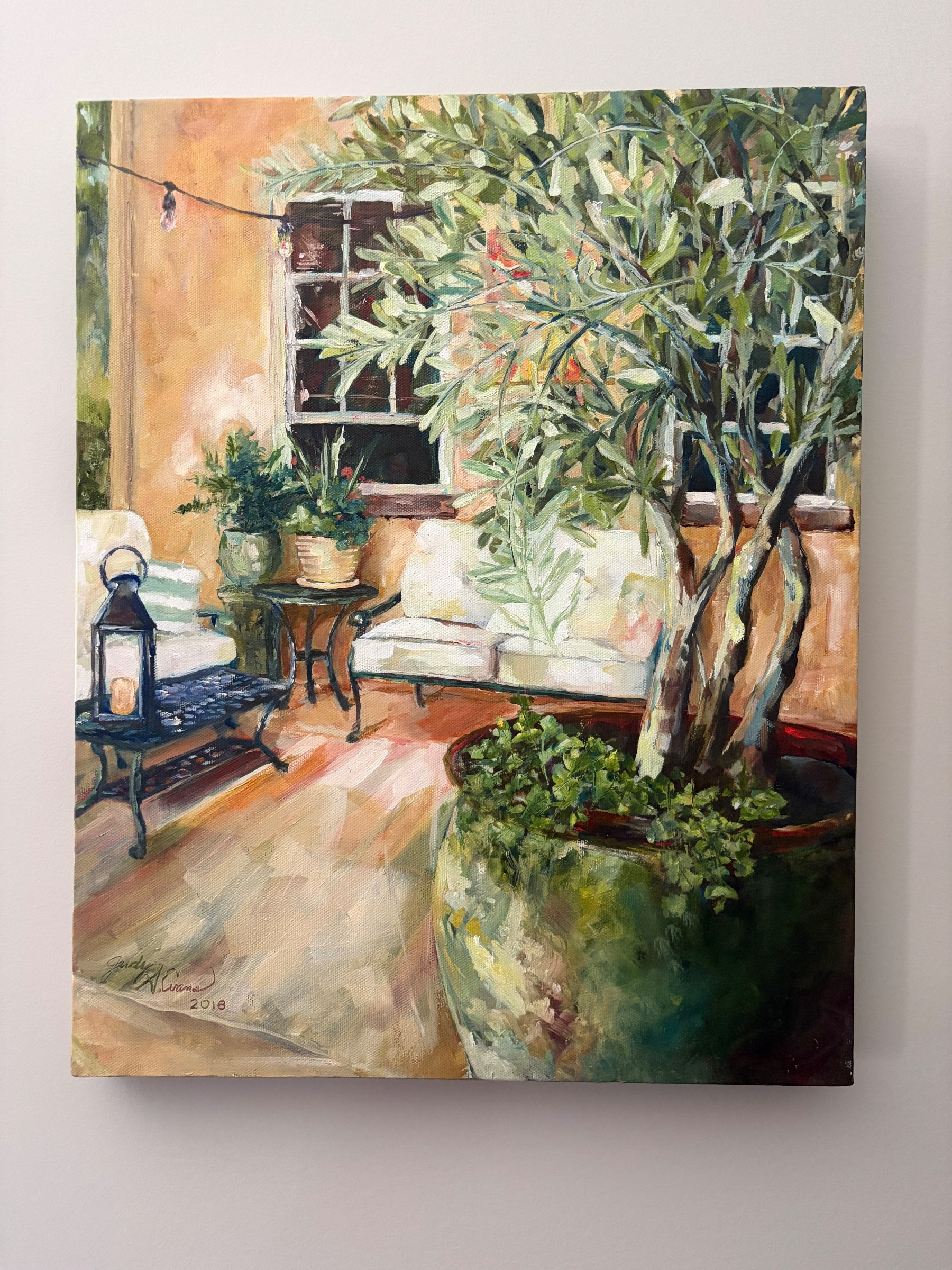 Olive Tree in a Mediterranean Courtyard